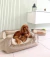 Imagen del carrusel PETLIFE STORE