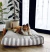 Imagen del carrusel PETLIFE STORE