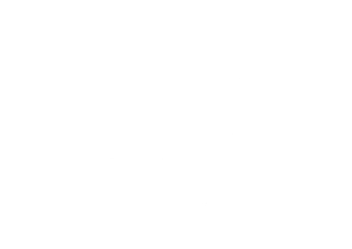 OLIVE HOME Curadoria