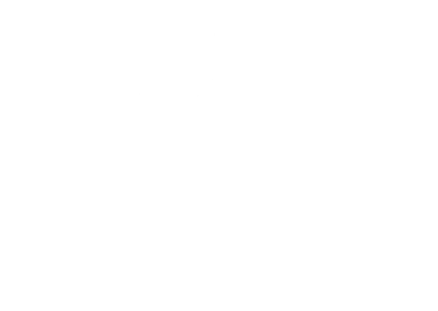 OLIVE HOME Curadoria