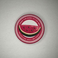 Botton Palestina Livre