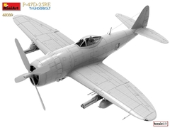 Imagem do P-47D-25RE Thunderbolt 1/48 - Edição Básica MiniArt 48009