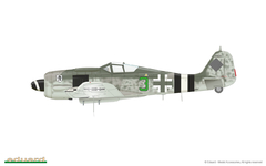 Fw 190A-8/R2 1/72 - Edição Profipack Eduard 70112 na internet