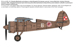 PZL P.11c 1/72 - IBG 72519 na internet