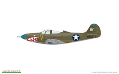 P-400 1/48 - Edição Profipack Eduard 8092 - comprar online