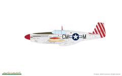 P-51B Mustang Birdcage Canopy 1/48 - Edição Profipack Eduard 82107 - Hey Hobby - Modelismo Extraordinário