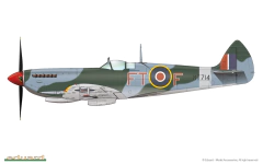 Spitfire Mk. VIII 1/48 - Edição Profipack Eduard 8284 - loja online