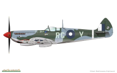 Imagem do Spitfire Mk. VIII 1/48 - Edição Profipack Eduard 8284