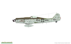 Fw 190D-9 1/48 - Edição Weekend Eduard 84102