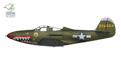P-39N Airacobra 1/72 - Arma Hobby 70056 na internet