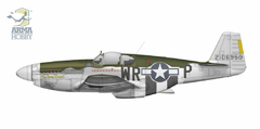 Imagem do P-51B Mustang 1/72 - Edição Deluxe Arma Hobby 70069
