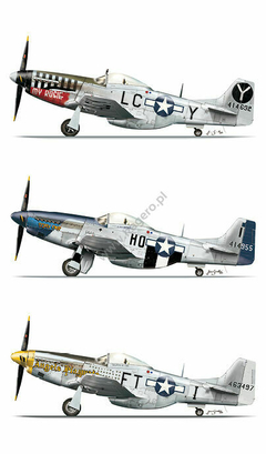 P-51D/K Mustang e Cavalier F-51D (sem decais) - Kagero 19003 - loja online