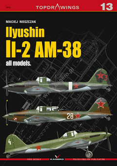 Ilyushin Il-2 AM-38 all models - Kagero 7013