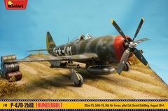 P-47D-25RE Thunderbolt 1/48 - Edição Básica MiniArt 48009