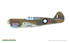 P-40E Warhawk Royal Class 1/48 - Edição Limitada Eduard R0023 na internet