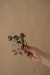 ESCULTURA ROSA FLEUR na internet