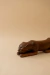 ESCULTURA FELINO TRACE - comprar online
