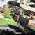 Guantes Resistentes Al Calor Temperatura Largos Lusqtoff en internet