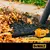 Aspiradora Dewalt Para Solidos Y Liquidos 34 Lts 1080w en internet