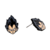 Aretes de Vegeta en internet