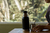 Termo negro 750 ml - Explorer Apolo