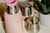 Imagen de Termo rosa 750 ml