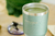 Vaso térmico con tapa verde 750 ml