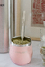 Mate térmico rosa 193 ml - comprar online
