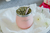 KIT: Termo 1L + Mate térmico 273ml + Bombilla pico de loro + Pouch de yerba en internet