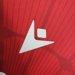 Crystal Palace 23/24 - SAGA SOCCER