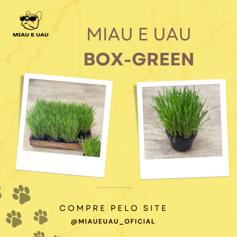 Marca 2 de Miau e Uau