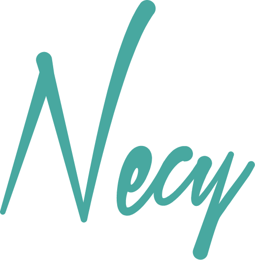 Necy Mayorista