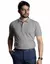 Camiseta Polo Piquet PA Cinza Claro Masculina na internet