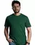 Camiseta 100% Algodão fio 30.1 penteado Verde Bandeira Masculina - comprar online