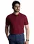 Camiseta Polo Piquet PA Vinho Masculina na internet