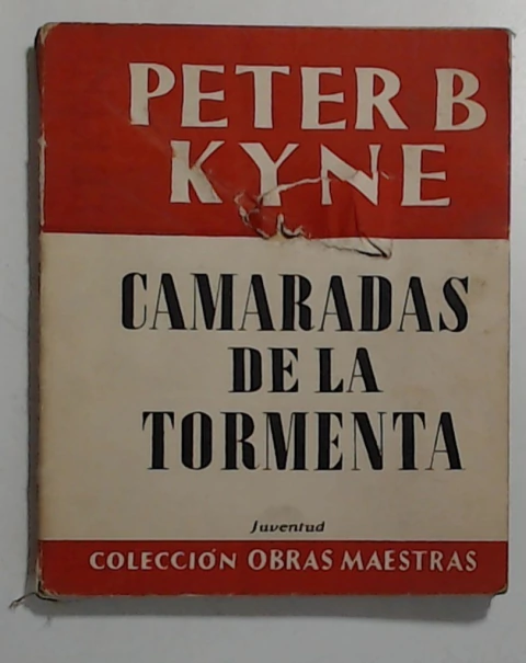 Camaradas de la Tormenta