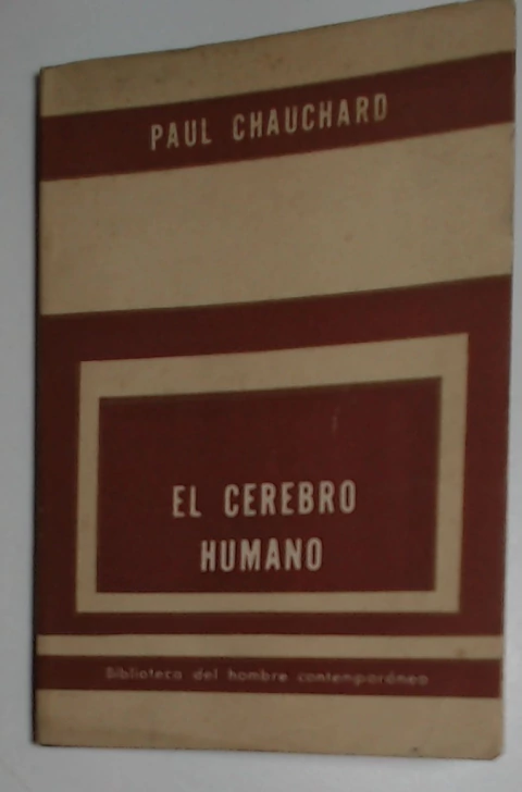 El cerebro humano