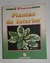 Plantas de interior