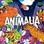 Color block - Animalia