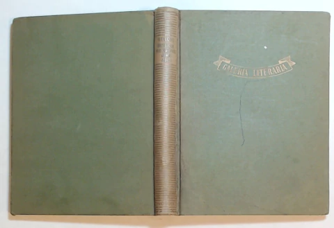 Dime que me quieres Junie Moon