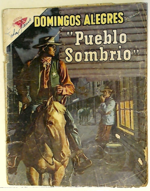 Domingos Alegres 331, Pueblo Sombrío