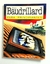 Jean Baudrillard Para Principiantes