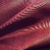 SIRE - 13 BORDO en internet