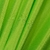 ACETATO ACROBACIA BRILLANTE - 19 VERDE FLUO - comprar online