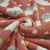 POLAR SOFT ESTAMPADO (CORAL) - VARIANTE 222 - comprar online