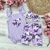 CONJUNTO GRETA LILA - comprar online