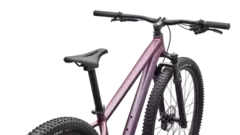 Specialized Rockhopper Expert 29 (Satin Quartz Metallic/Mauve Metallic) - Bike Point
