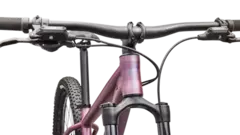 Specialized Rockhopper Expert 29 (Satin Quartz Metallic/Mauve Metallic) - tienda online
