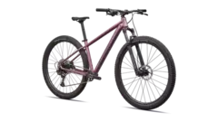 Specialized Rockhopper Expert 29 (Satin Quartz Metallic/Mauve Metallic) en internet