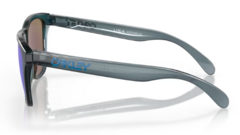 FROGSKINS CRYSTAL BLACK W/ PRIZM SAPPHIRE POLARIZE en internet